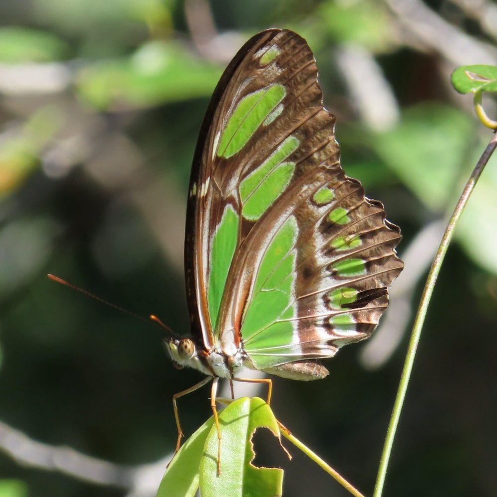 Meet your Posher, Lynn